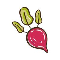 fresh beet hand draw style icon vector