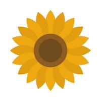sunflower petals decoration nature flat icon style vector