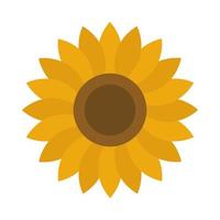 estilo de icono plano de naturaleza de decoración de pétalos de girasol vector