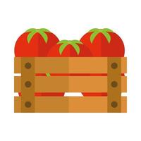 agriculture and farming harvest fresh tomatoes in box flat icon style vector