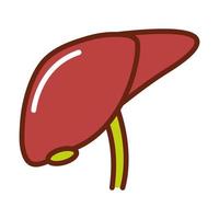 human body liver anatomy organ health line and fill icon vector