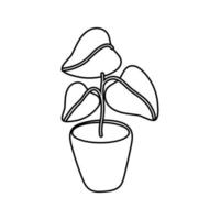 houseplant in ceramic pot isolated icon vector