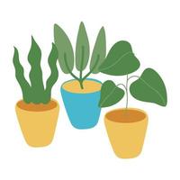 houseplants in ceramic pots isolated icons vector