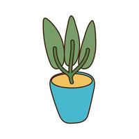 houseplant in ceramic pot isolated icon vector