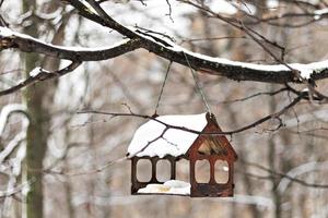 pajarera de madera para alimentar pájaros bajo la nieve en la rama de un árbol. tiempo de invierno foto