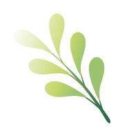 branch with leaves hand draw style icon vector