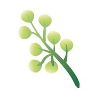 branch with leaves hand draw style icon vector