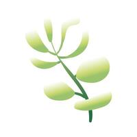 branch with leaves hand draw style icon vector