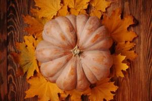 composición de otoño con calabaza y hojas caídas.