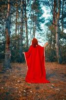 mujer en vestido rojo en el bosque. foto