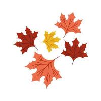 autumn season leaves vector