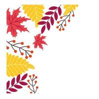 autumn season leaves vector