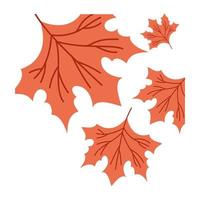 autumn season leaves vector