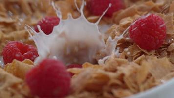 close up de framboesas espirrando na tigela de cereal em câmera lenta filmado em phantom flex 4k a 1000 fps video