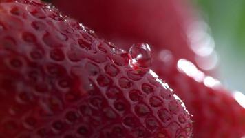 extreme close-up van waterdruppel op aardbei in slow motion geschoten op phantom flex 4k met 1000 fps