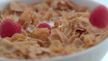 Closeup of raspberries splashing into bowl of cereal in slow motion shot on Phantom Flex 4K at 1000 fps video