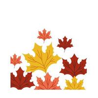 autumn season leaves vector