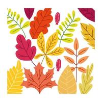 autumn season leaves vector