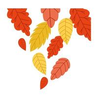 autumn season leaves vector