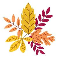 autumn season leaves vector