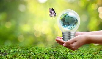 The bulb is located on the inside with leaves forest and the trees are in the light. Concepts of environmental conservation and global warming plant growing inside lamp bulb over dry photo