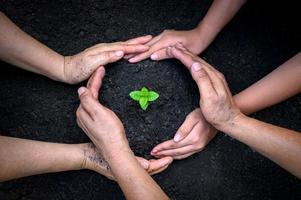 medio ambiente día de la tierra en manos de árboles que cultivan plántulas. Bokeh de fondo verde mano femenina sosteniendo el árbol en el campo de la naturaleza concepto de conservación de bosques de hierba foto