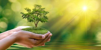 medio ambiente día de la tierra en manos de árboles que cultivan plántulas. Bokeh de fondo verde mano femenina sosteniendo el árbol en el campo de la naturaleza concepto de conservación de bosques de hierba foto