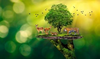 concepto reserva natural conservar reserva de vida silvestre tigre ciervo calentamiento global comida pan ecología manos humanas protegiendo los animales salvajes y salvajes tigres ciervos, árboles en las manos fondo verde luz del sol foto