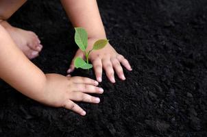 árbol joven mano de bebé en el suelo oscuro, el concepto implantó la conciencia de los niños en el medio ambiente foto