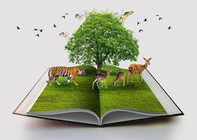 conservación de la vida silvestre tigre ciervo pájaro medio ambiente libro de la naturaleza aislado en blanco libro abierto en reciclaje de papel libro de representación 3d de la naturaleza con césped y crecimiento de árboles sobre fondo blanco foto