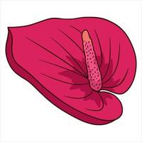 planta tropical flor brillante en estilo de dibujos animados vector