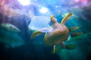tortugas de plástico del océano están comiendo bolsas de plástico bajo el mar azul. conceptos de conservación ambiental y no arrojar basura al mar