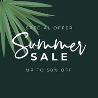 Summer sale poster Natural Background with Tropical Palm Leaves vector