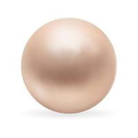 Realistic 3D Pearl isolated on white background. Vector Illustration EPS10