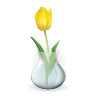 Realistic 3d glass transparent Vase with Tulips Flower. Design element for poster, greeting card. Vector Illustration EPS10