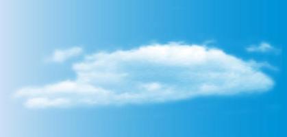 Realistic 3D white clouds on blue sky background. vector illustration EPS10