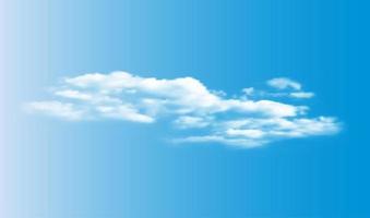 Realistic 3D white clouds on blue sky background. vector illustration EPS10