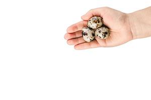 Quail eggs in hand isolated on white. Woman hold a quail egg. Organic product. photo