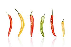 Half of Chili peppers, chillies, slice, isolated on white background with drop shadow. photo