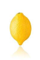 Lemon isolated on white background with drop shadow. photo