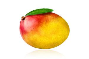 fruta de mango aislado sobre fondo blanco con sombra. foto