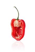 Half of red Habanero pepper, slice, isolated on white background with drop shadow. photo