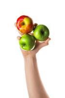 Man holding bunch of red and green apples in his hand. Isolated on white background. photo