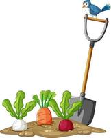 Many root vegetables in soil with shovel in cartoon style isolated vector