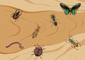 Top view of different types of insect vector