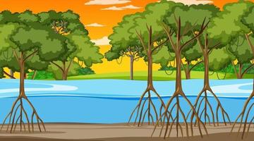 Nature scene with Mangrove forest at sunset time in cartoon style vector