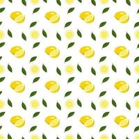 Seamless bright spring and summer pattern with lemon and slices on a white background. A set of citrus fruits for a healthy lifestyle vector