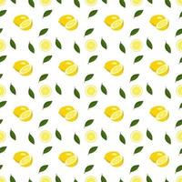 Seamless bright spring and summer pattern with lemon and slices on a white background. A set of citrus fruits for a healthy lifestyle vector