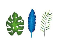 collection of leaves, set tropical leaves vector