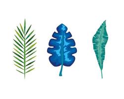 collection of leaves, set tropical leaves vector